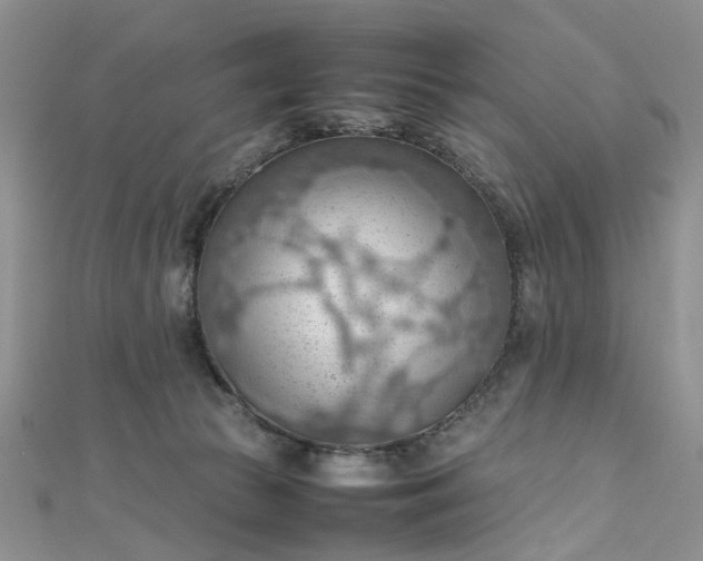 X0000112810177200909041502