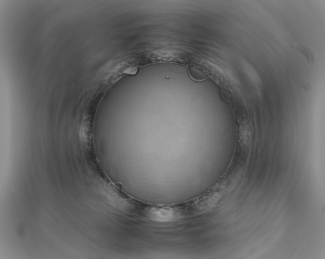 X0000112810181200909041502