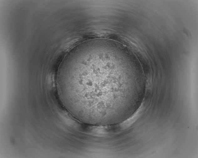 X0000112810182200909041502