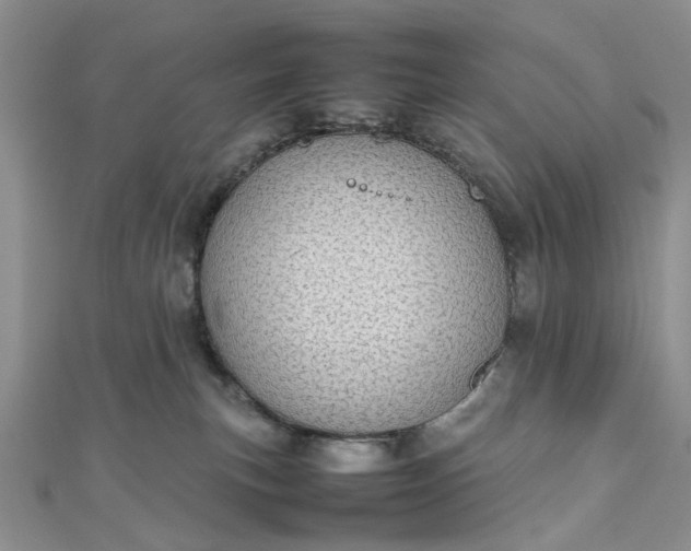 X0000112810183200909041502