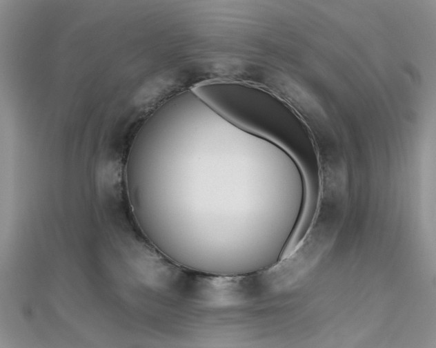 X0000112810184200909041502