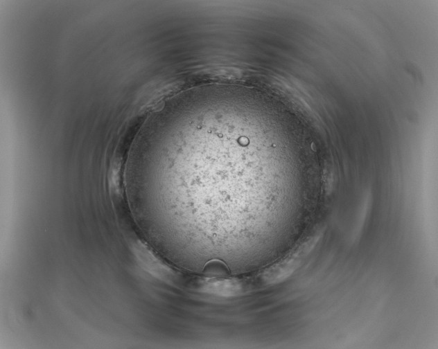 X0000112810185200909041502