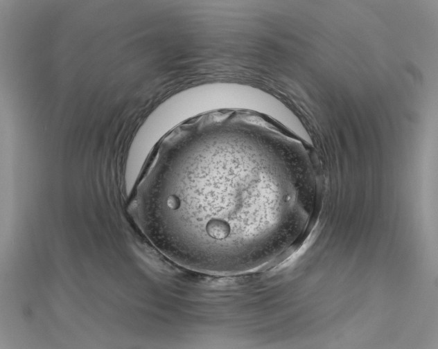 X0000112810186200909041502