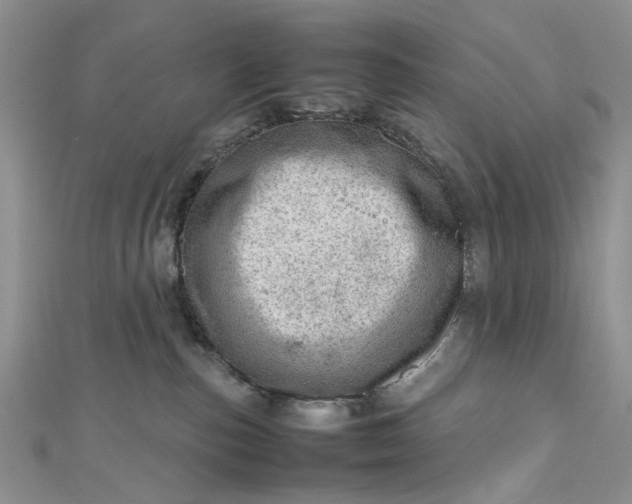 X0000112810187200909041502