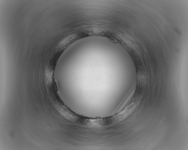 X0000112810188200909041502