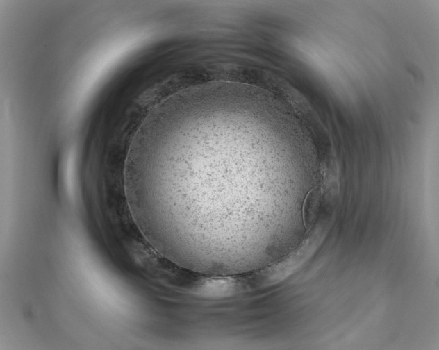 X0000112810189200909041502