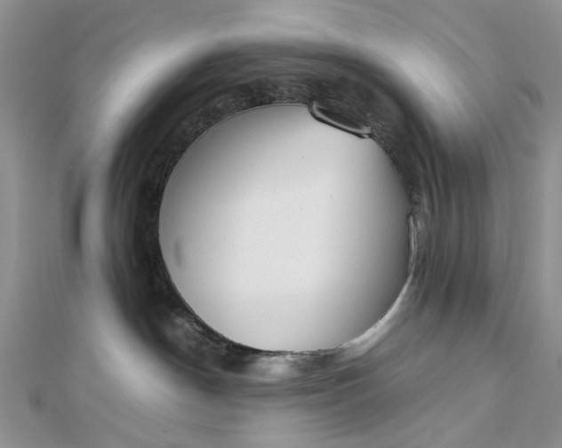 X0000112810190200909041502