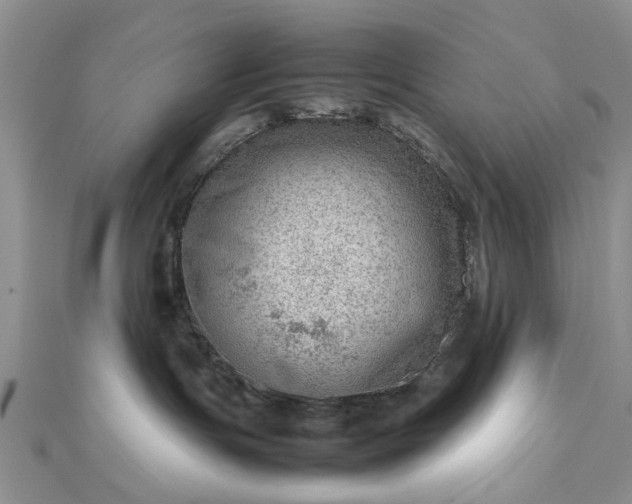 X0000112810191200909041502