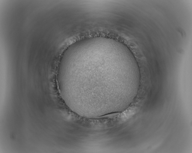 X0000112810192200909041502