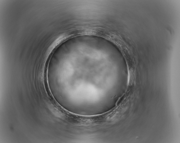 X0000112810195200909041501