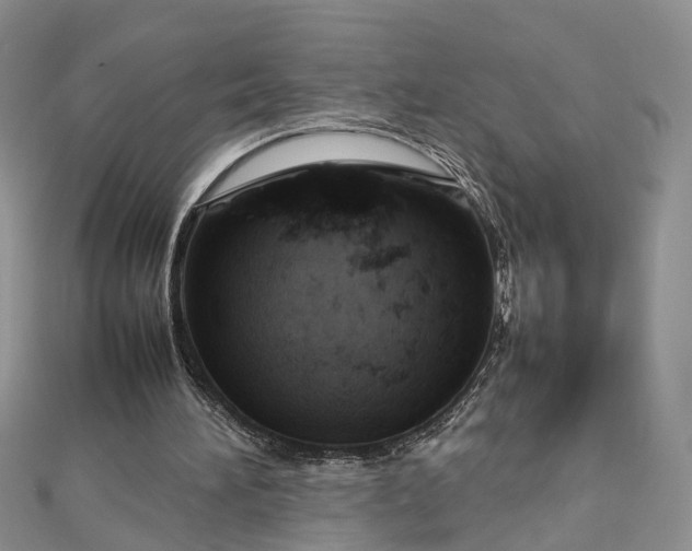 X0000112810196200909041501