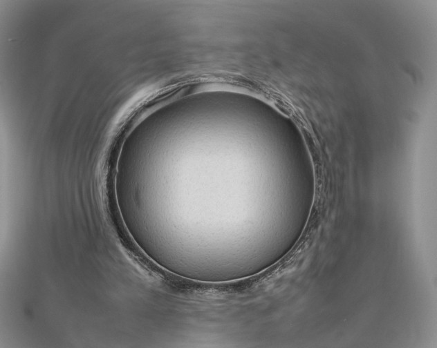 X0000112810197200909041501