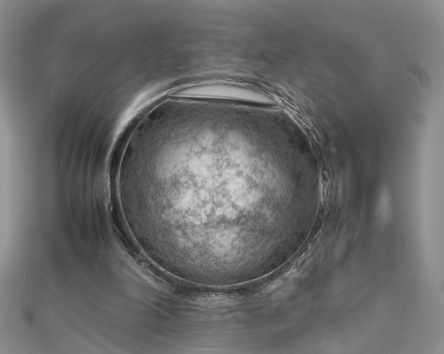 X0000112810198200909041501