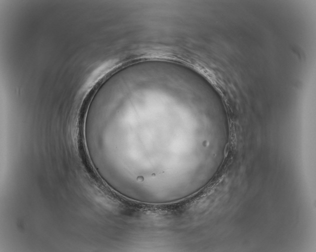 X0000112810199200909041501