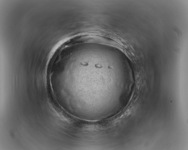 X0000112810200200909041501