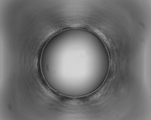 X0000112810201200909041501