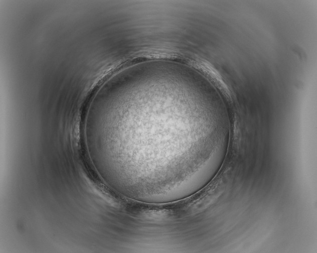 X0000112810202200909041501