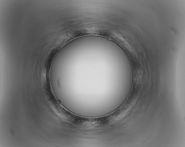 X0000112810213200909041501