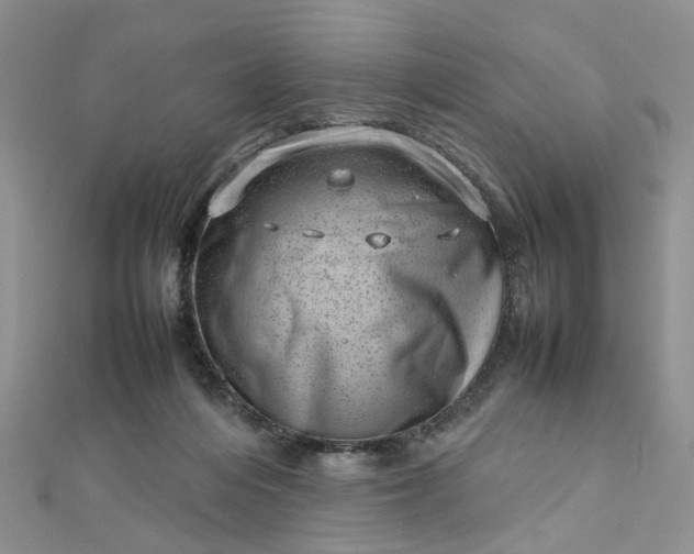 X0000112810216200909041501