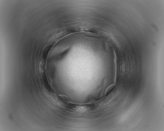 X0000112810218200909041501