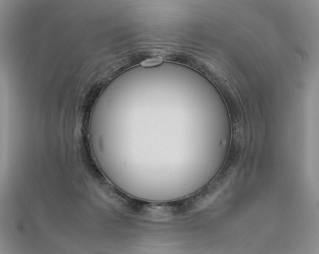 X0000112810221200909041501