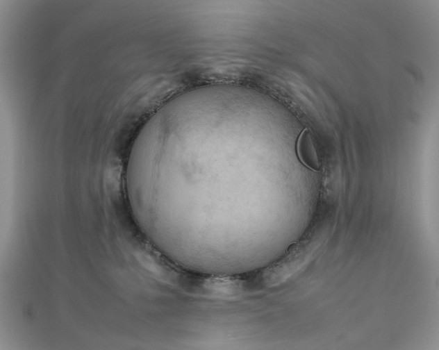 X0000112810231200909041501