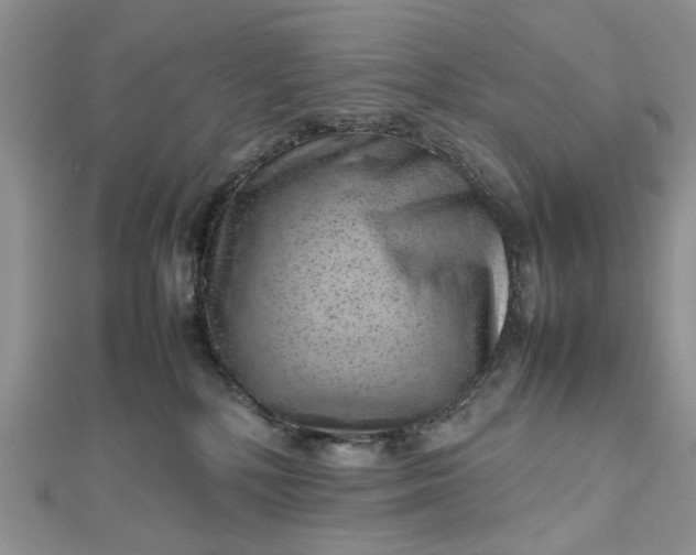 X0000112810232200909041501