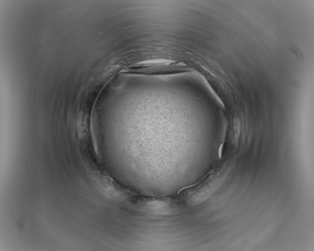 X0000112810236200909041500