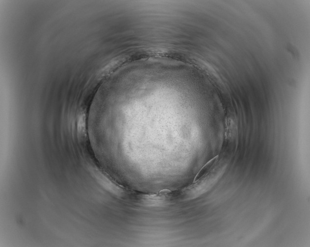 X0000112810238200909041500