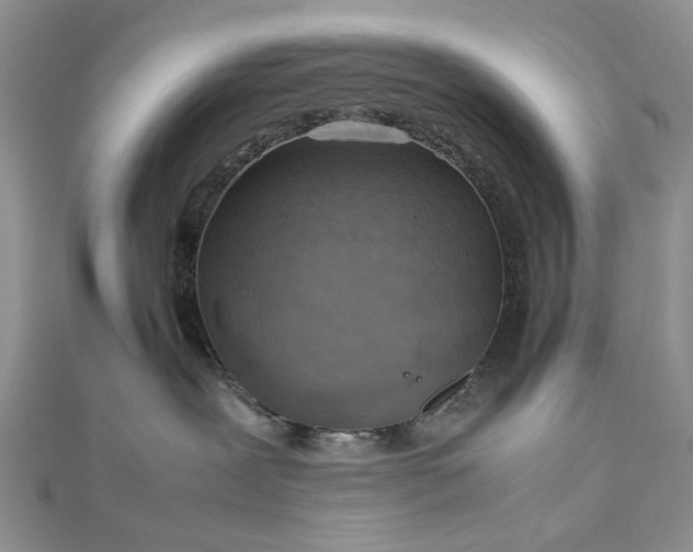 X0000112810239200909041500