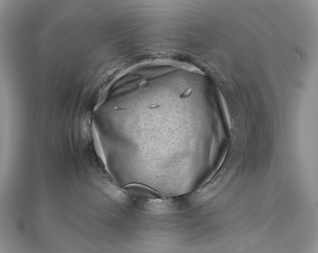 X0000112810240200909041500