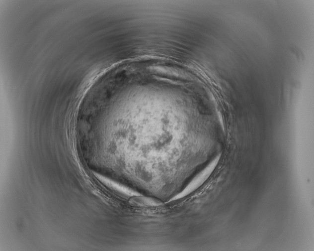 X0000112810241200909041500