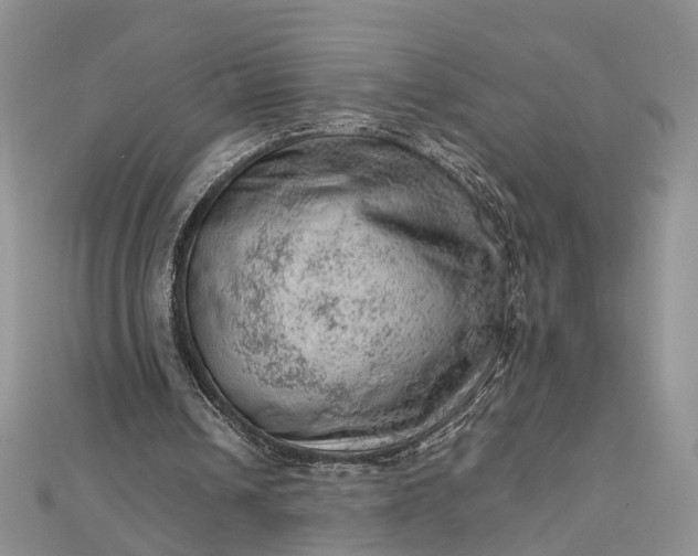 X0000112810242200909041500