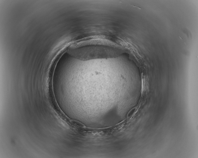 X0000112810243200909041500