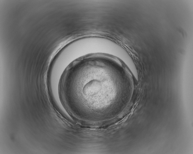 X0000112810244200909041500