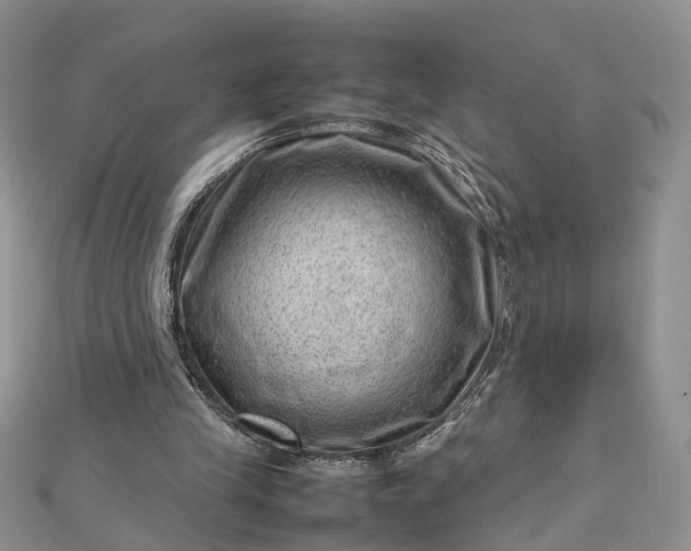 X0000112810245200909041500