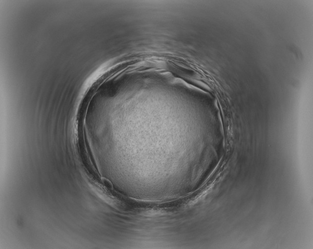 X0000112810246200909041500