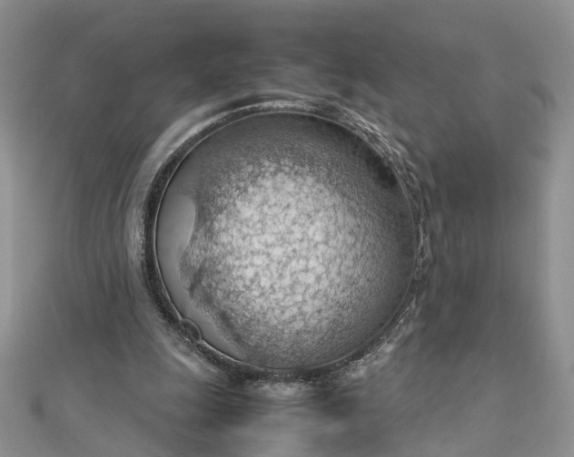 X0000112810247200909041500