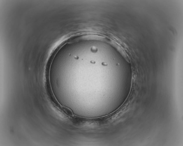 X0000112810248200909041500