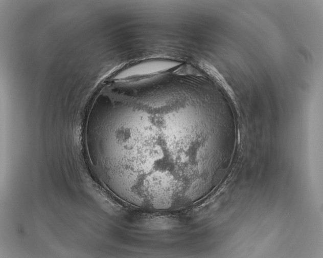 X0000112810249200909041500