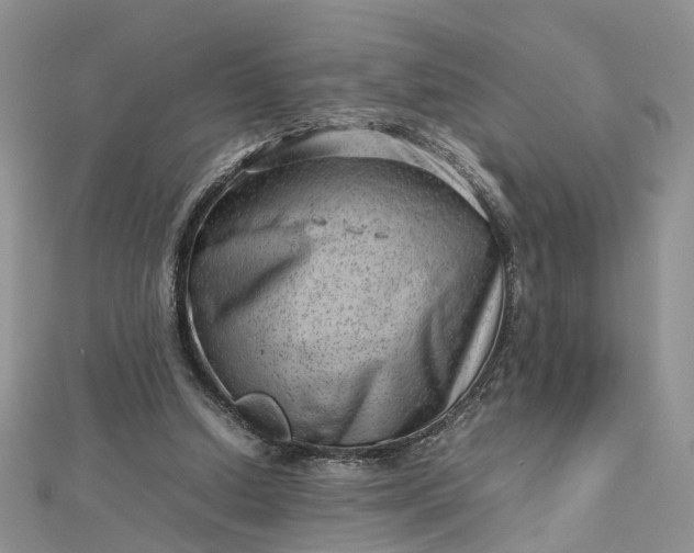 X0000112810250200909041500