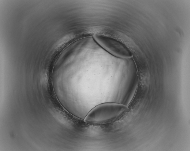 X0000112810256200909041500