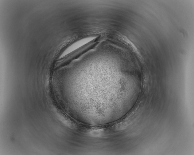 X0000112810257200909041500