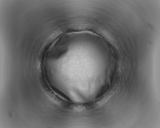 X0000112810258200909041500