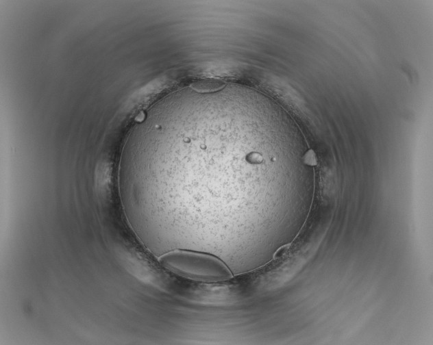 X0000112810260200909041500