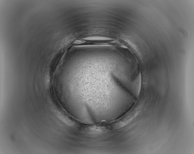 X0000112810261200909041500