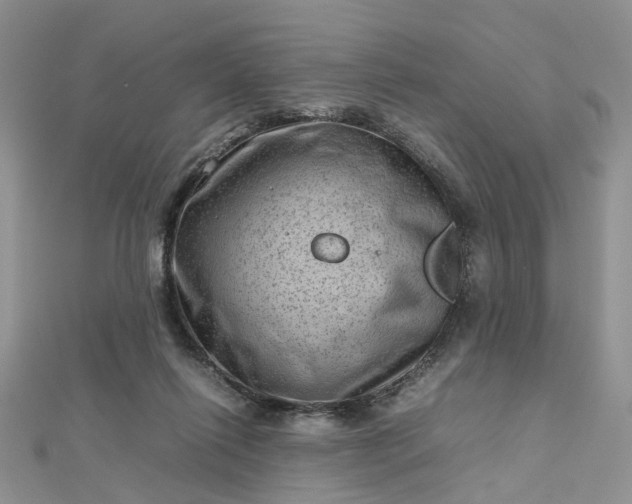 X0000112810262200909041500