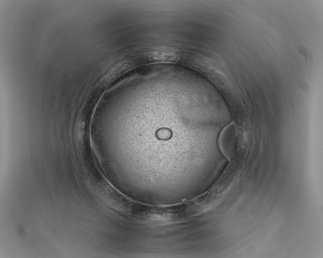 X0000112810263200909041500