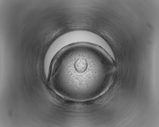 X0000112810264200909041500