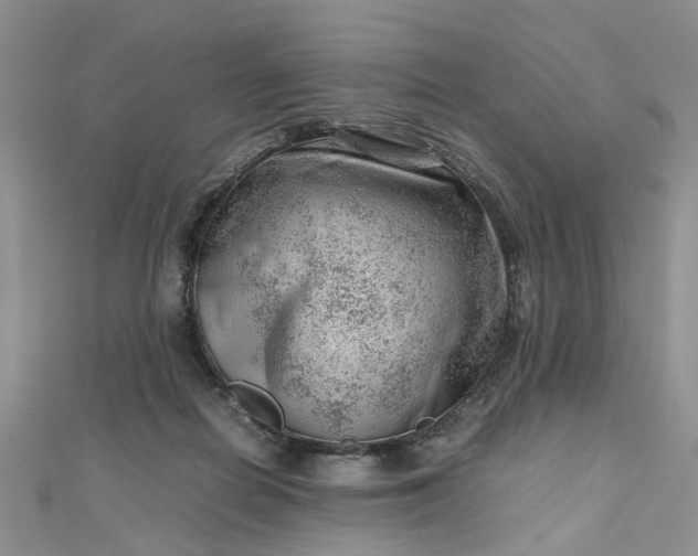 X0000112810266200909041500